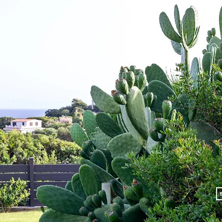 Villa Belocations - Garden Beach