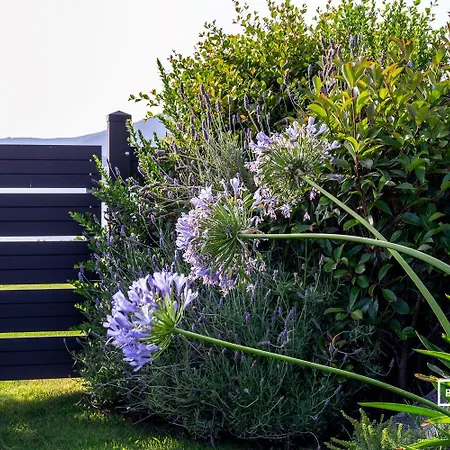Belocations - Garden Beach Marongiu